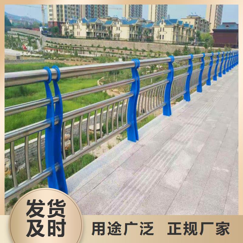 专业销售不绣钢道路护栏-现货供应本地服务商