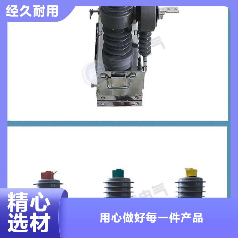 真空断路器FKN12-12/630A工厂现货供应本地供应商