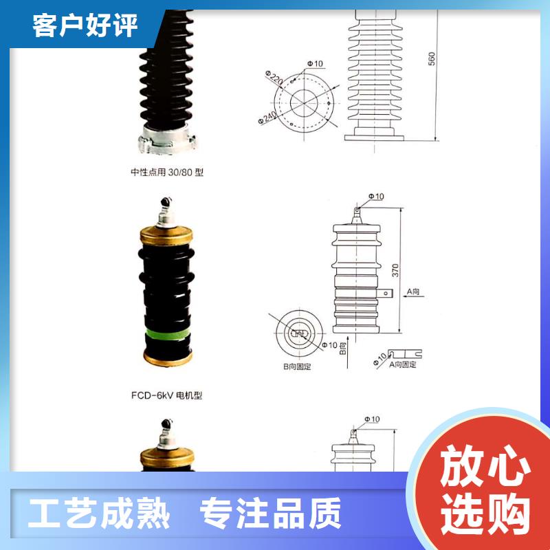 阀式避雷器FZ2-66生产厂家当地制造商