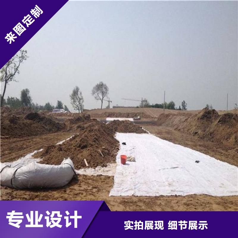 膨润土防水毯TPO防水卷材厂家供应同城公司