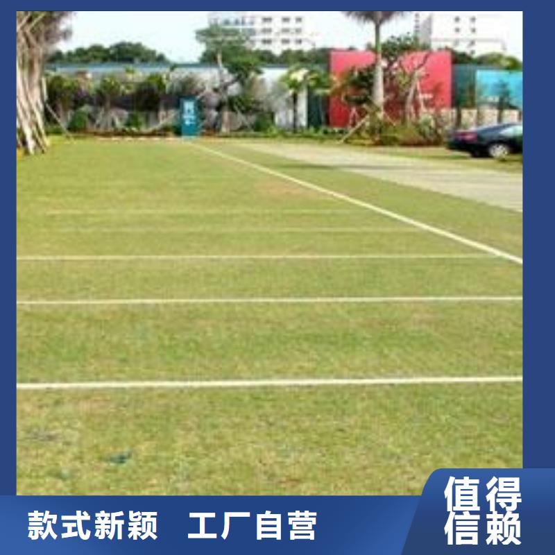 植草格塑料土工滤网厂家直发同城公司