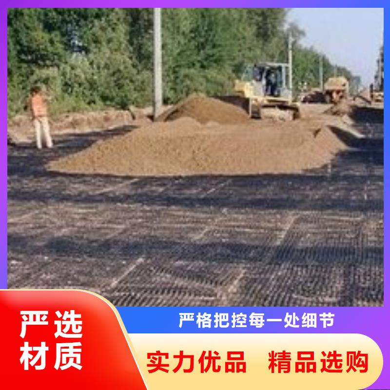 【pp焊接土工格栅_三维植被网信誉至上】附近货源