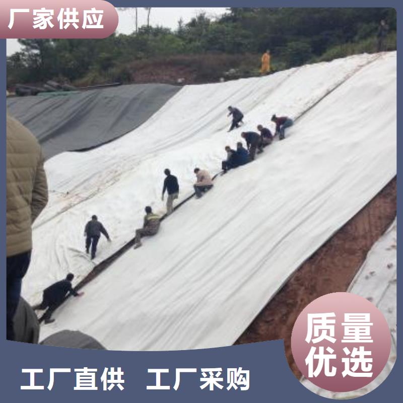 防渗膨润土防水毯多规格可定制本地配送