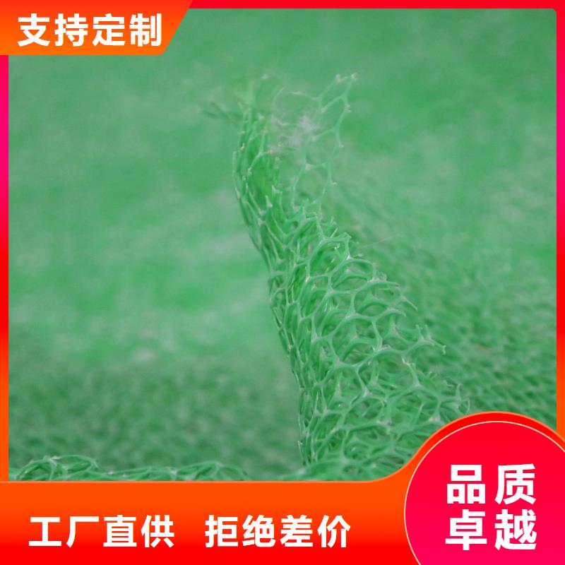 三维植被网土工布好品质售后无忧从源头保证品质
