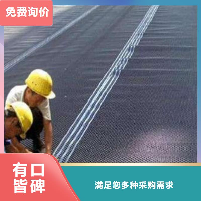 塑料排水板塑料土工格栅产品性能源头厂家供应