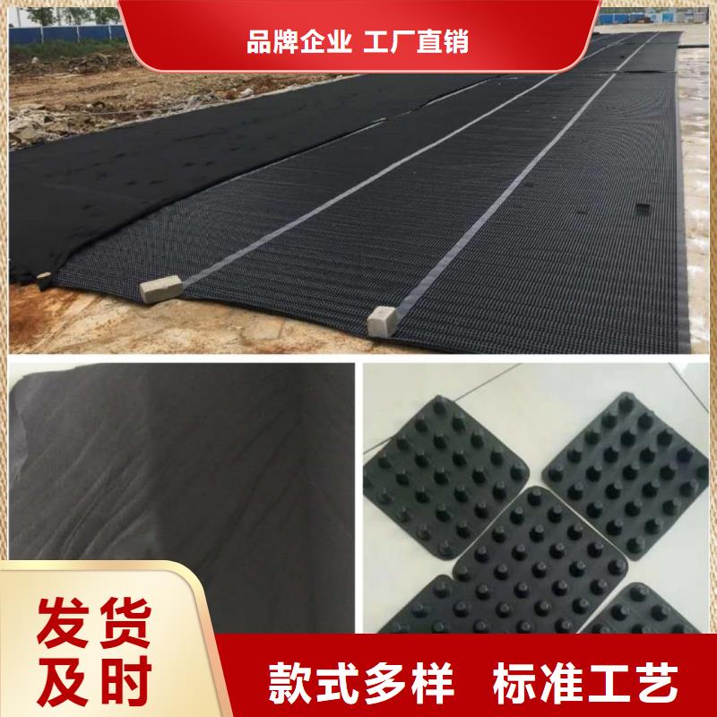 塑料排水板复合土工膜工厂自营诚信商家服务热情