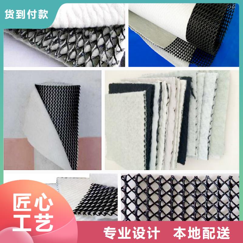 三维复合排水网单向塑料土工格栅规格型号全本地服务商