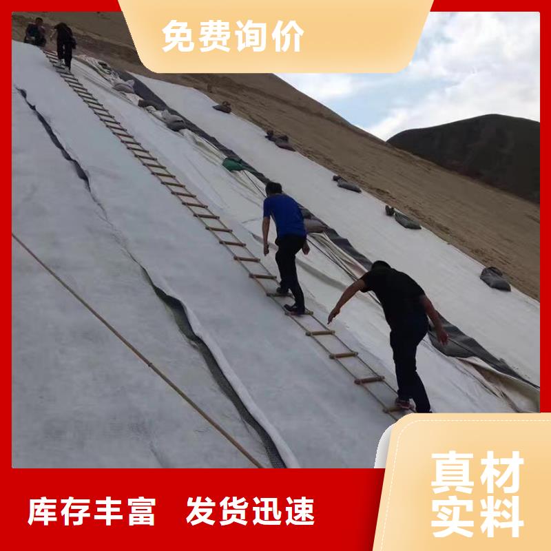 三维复合排水网-【钢塑土工格栅】专业生产团队优质原料