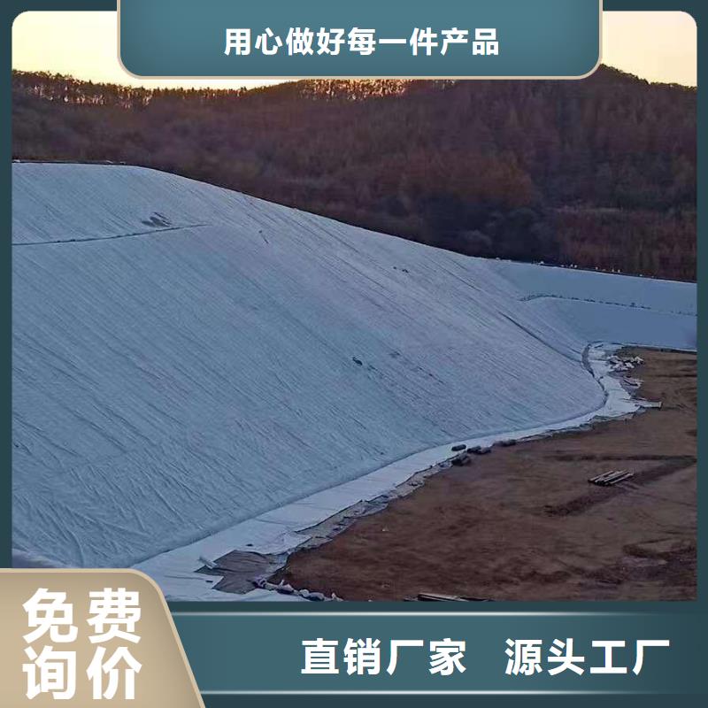 三维复合排水网护坡土工网用途广泛源头厂家供应