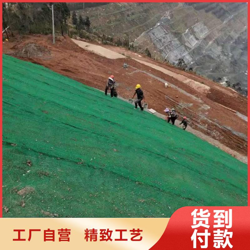 三维植被网复合土工膜材质实在本地生产厂家