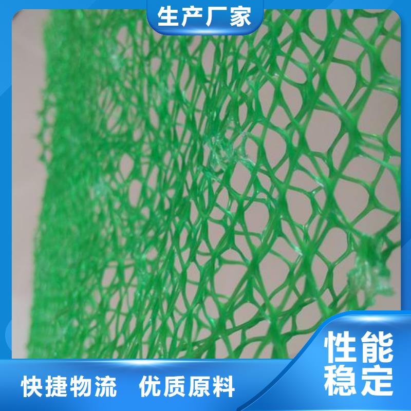 EM3三维植被网EM3护坡固土防止水土流失多年行业积累