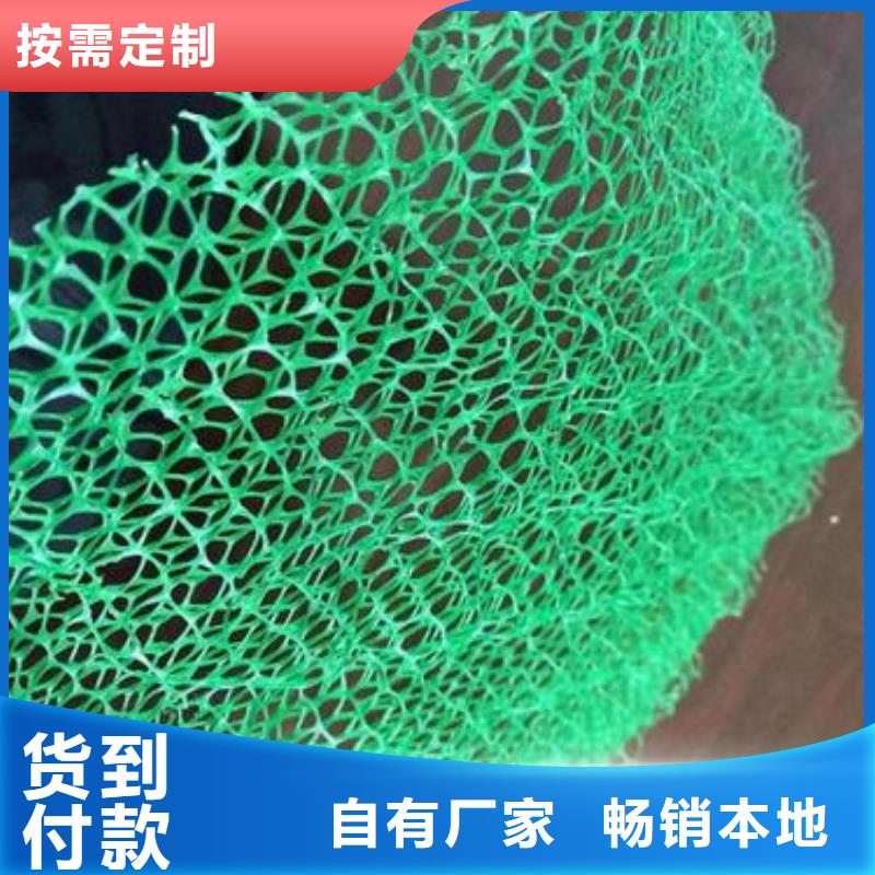 儋州市三维土工网垫EM4三维植被网精工制作