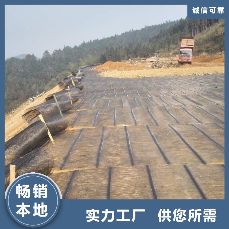 钢塑土工格栅-土工布匠心工艺本地公司