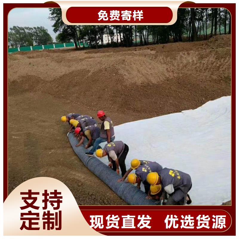 防水毯【聚丙烯双拉土工格栅】工厂现货供应货品齐全