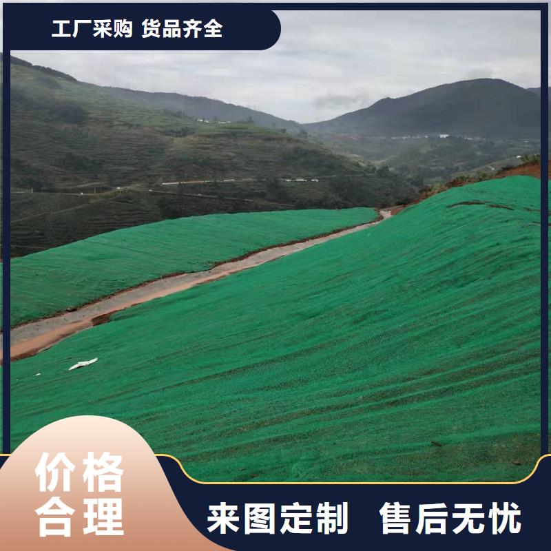 三维植被网多向塑料土工格栅厂家大量现货随到随提