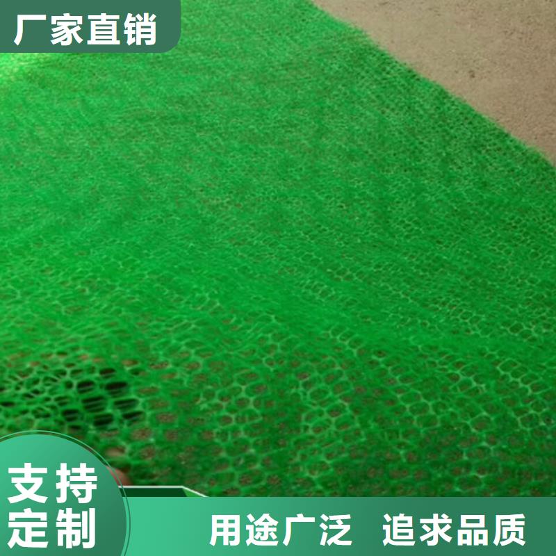 三维植被网复合土工膜的简单介绍本地公司