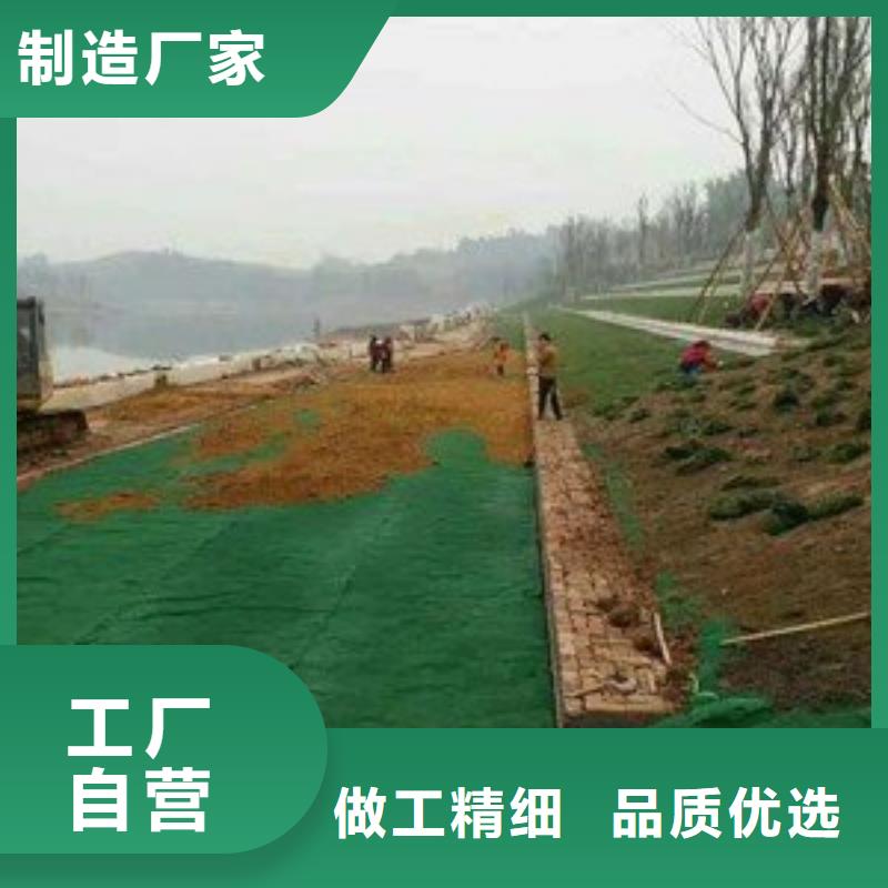 三维植被网-单向塑料土工格栅免费获取报价当地货源