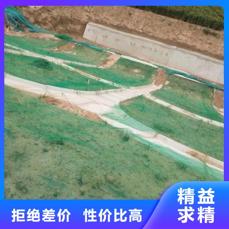 【三维植被网】长丝无纺土工布欢迎新老客户垂询本地供应商