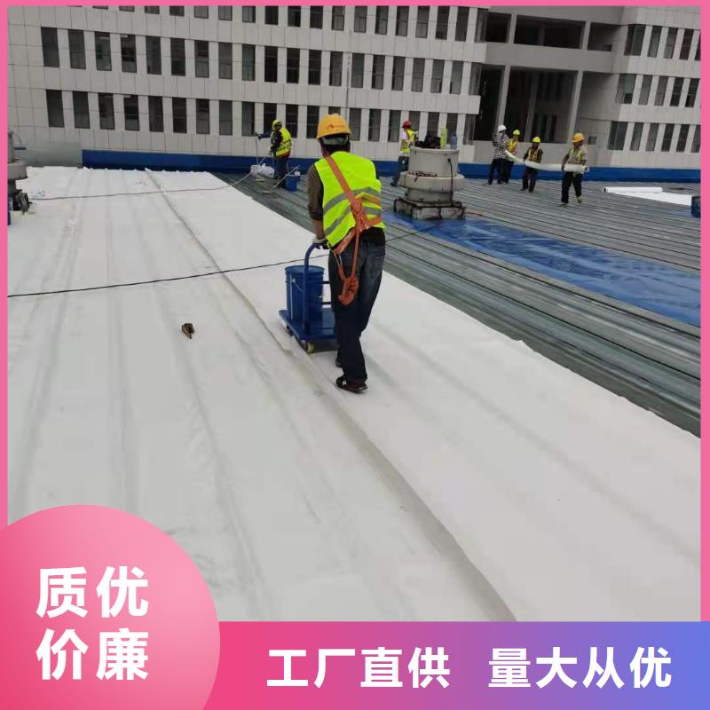 PVC-TPO防水卷材施工队厂家销售源头工厂量大优惠