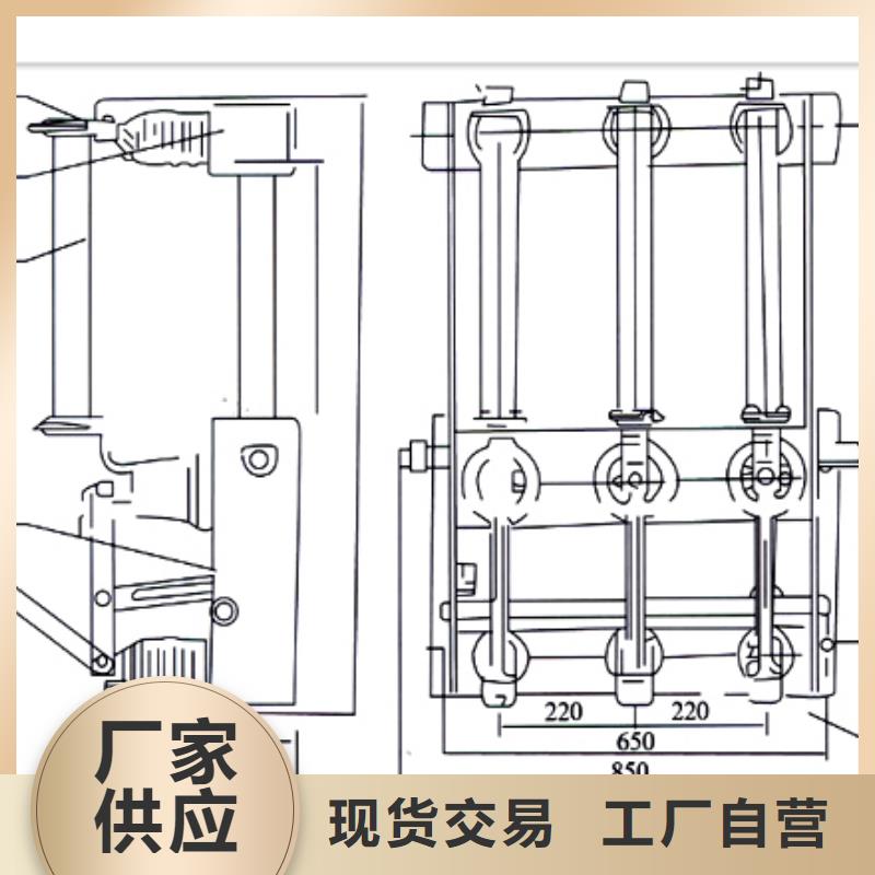 FN12-12RD/630-20负荷开关匠心工艺