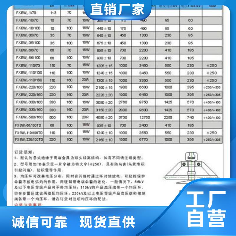 ZJ-35KV/120*380高压绝缘子当地生产商