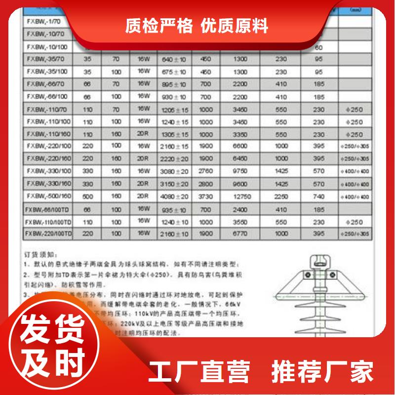 ZN-20/30绝缘子厂家实力大