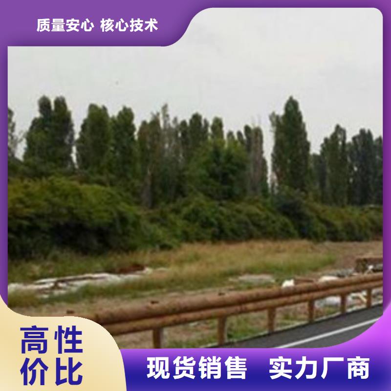 【钢背木护栏桥梁防撞护栏一站式服务】市场行情