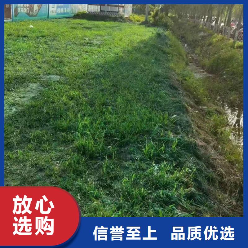 抑尘剂色素来电咨询品质好才是硬道理