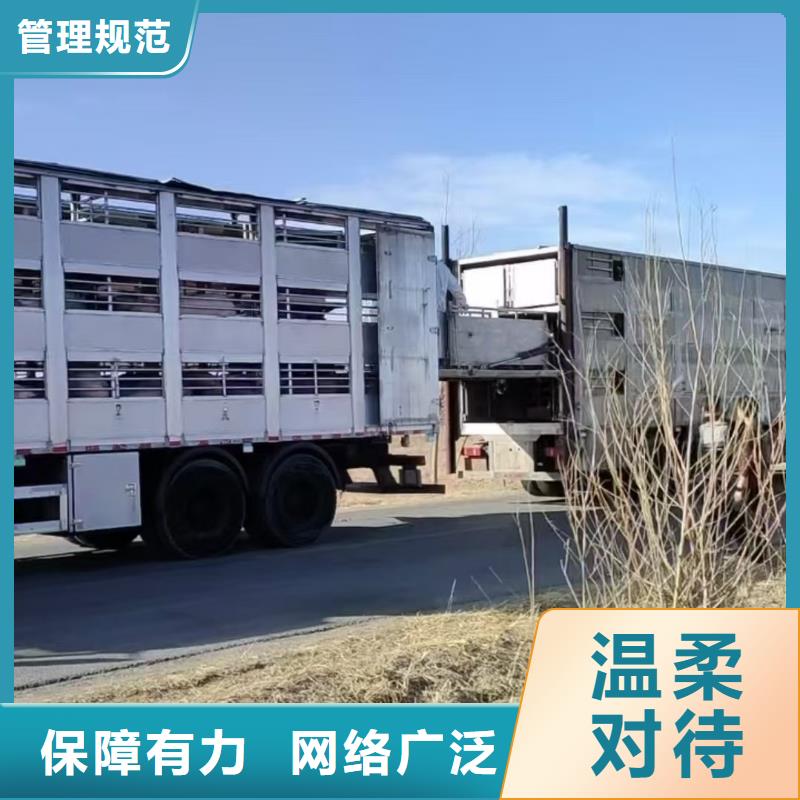 宿迁市泗阳到浙江猪笼车物流监控到位