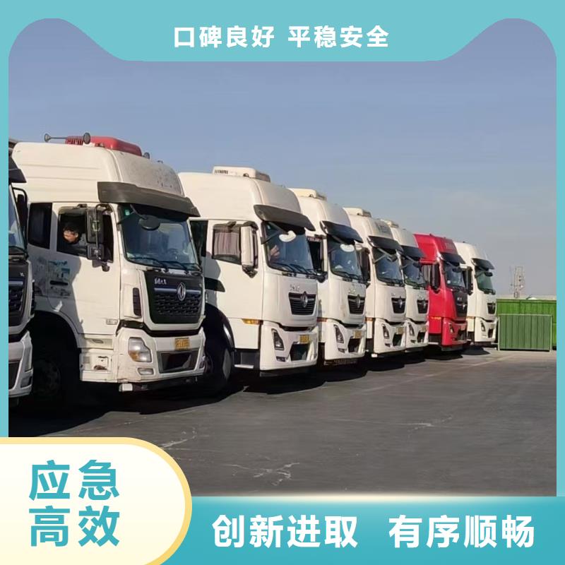 宿迁市泗洪到枣庄种猪运输调度精准
