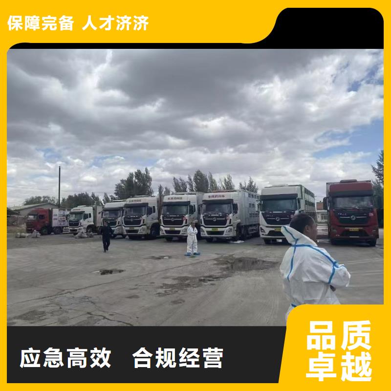 宿迁市到浙江活禽运输细致入微
