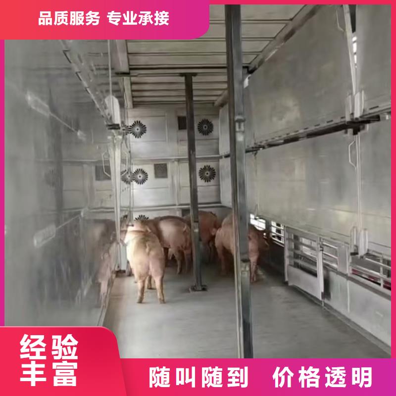 昆山到徐闻肥猪运输恒温车精英团队
