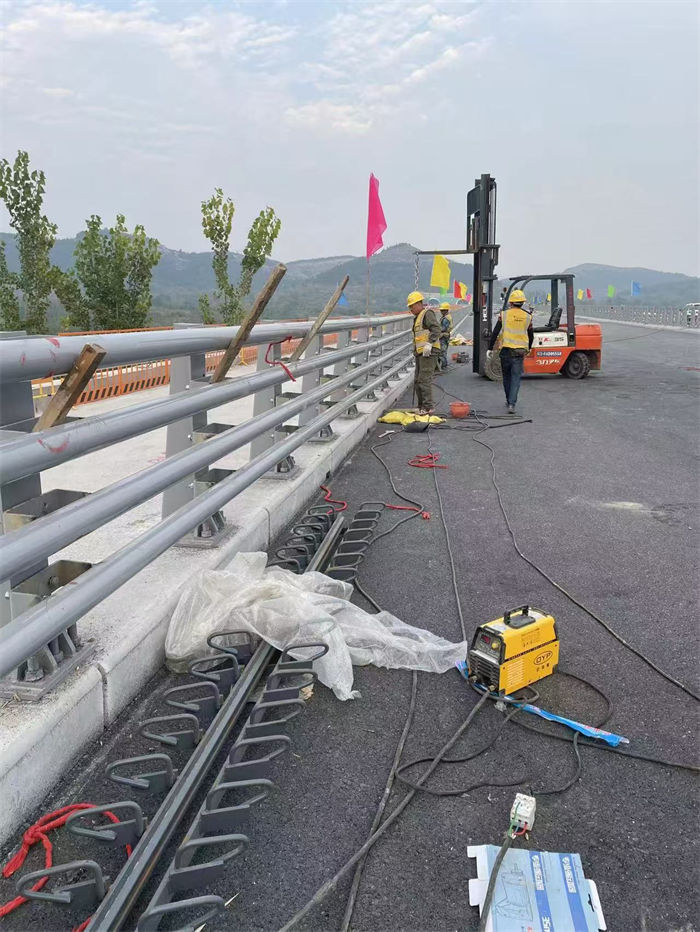 道路隔离护栏厂家供货及时保证工期