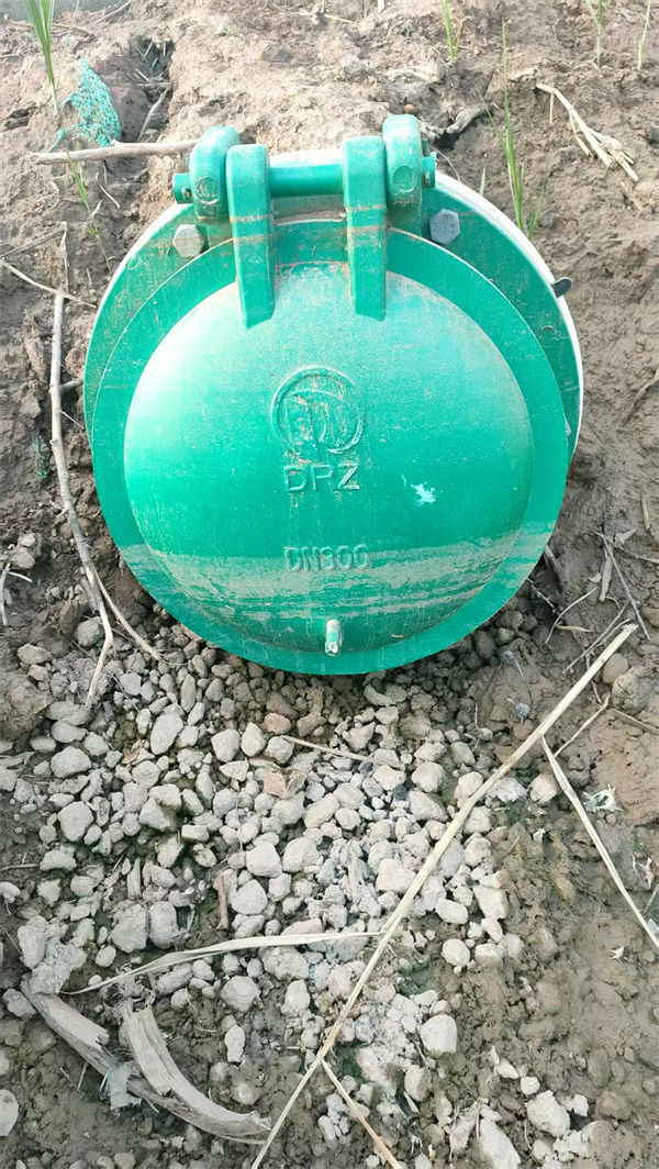 拍门复合材料拍门生产加工