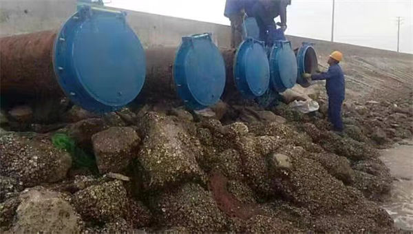 拍门_方拍门用心做好每一件产品