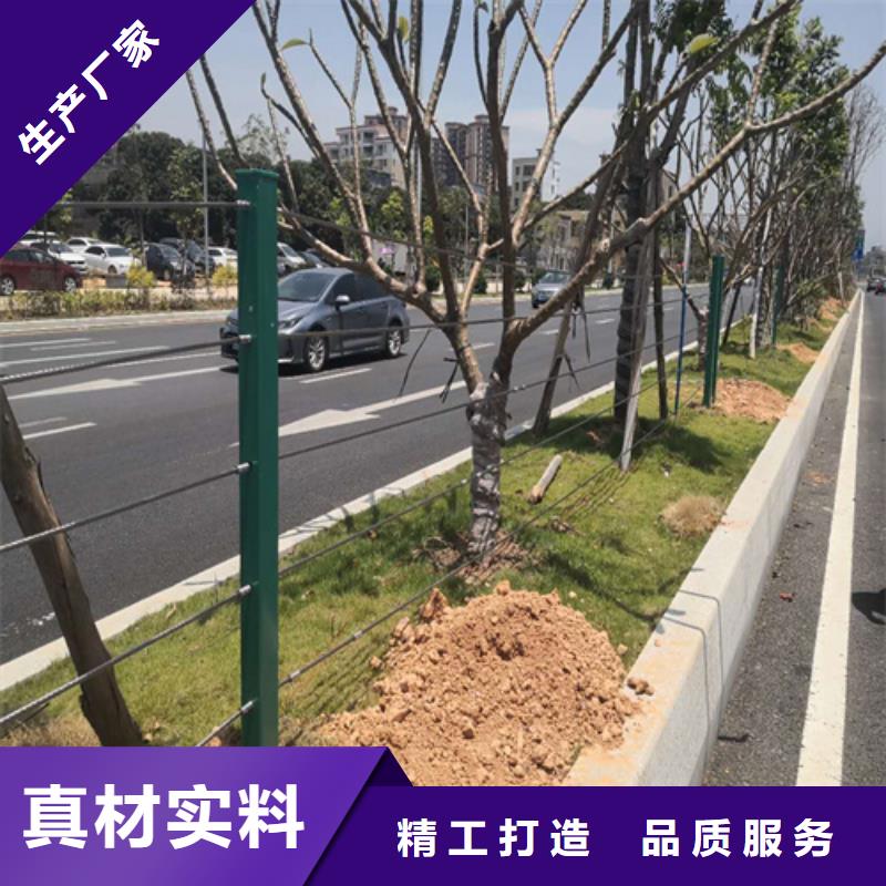 绳索护栏规格型号商家用心做好每一件产品