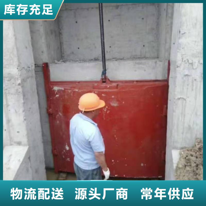 水电站铸铁闸门免费提供报价当地生产厂家