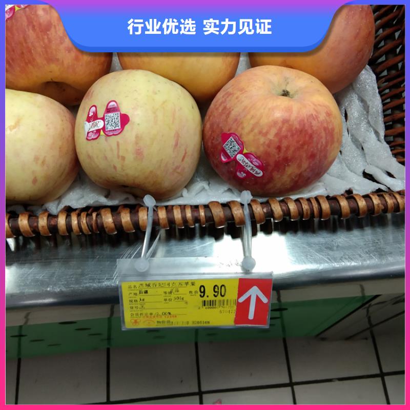 苹果梨树苗商家直供精心打造
