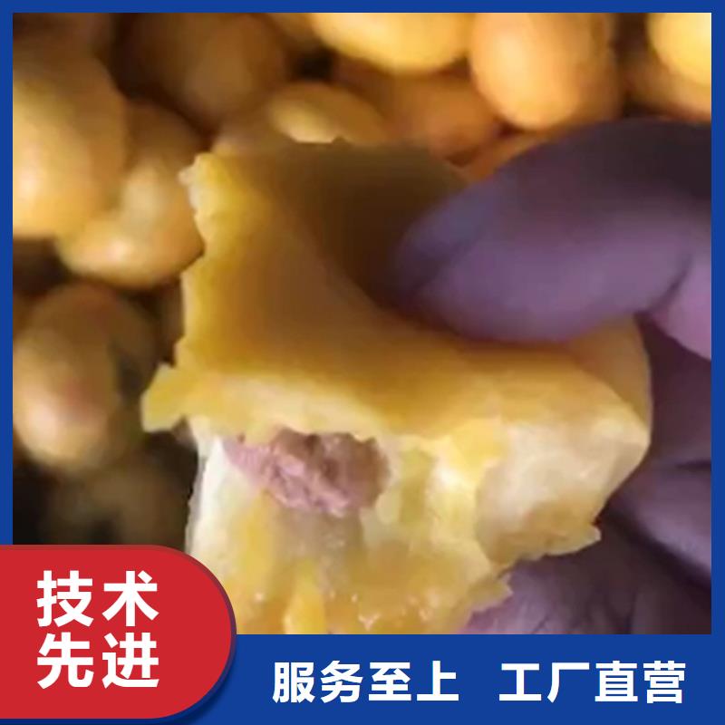 黑桃树苗怎么卖同城生产厂家