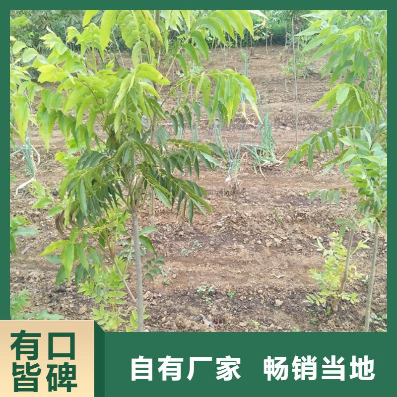 碧根果嘎啦苹果一站式采购商家附近厂家