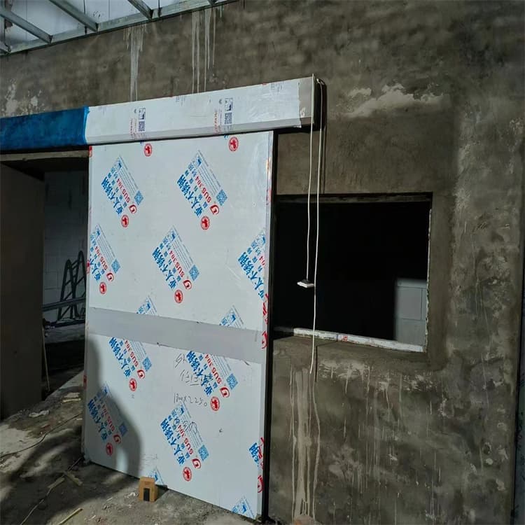 射线屏蔽铅门铸造金品