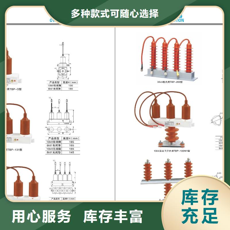 -高压熔断器-HRW11-10KV/100质量三包