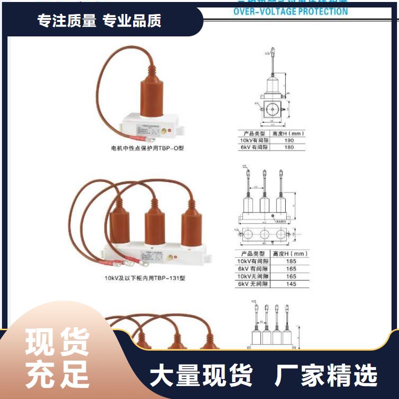 【避雷器】Y10W1-96/232用心制作