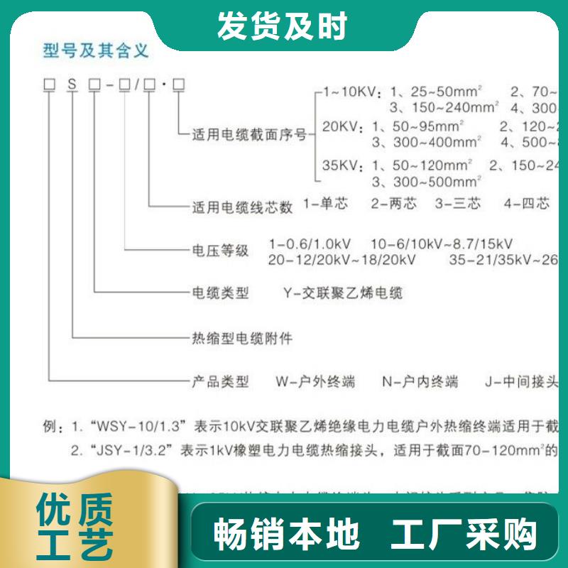 【WRSY-35/1.1热缩电缆终端头】多年经验值得信赖