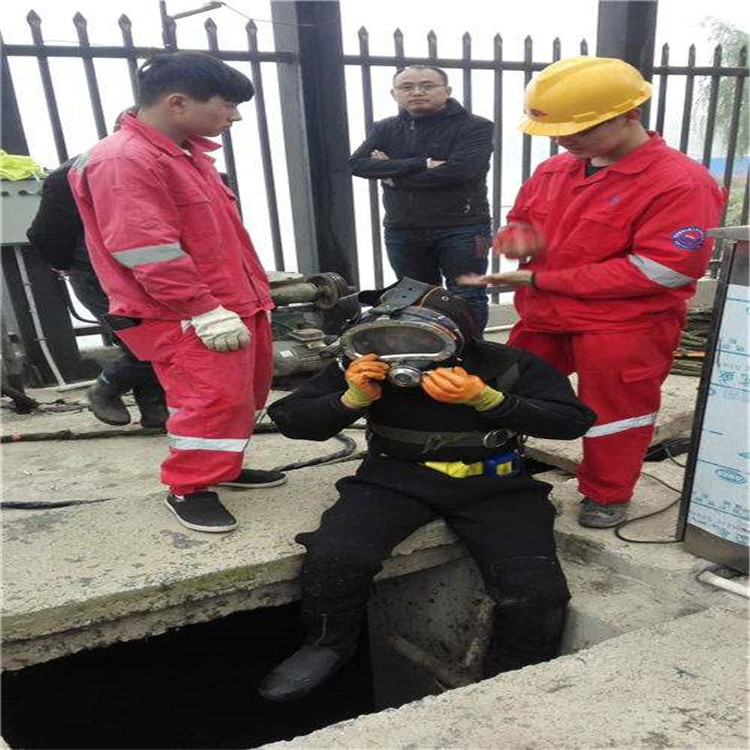 浏阳市市政污水管道封堵公司-水下救援队伍