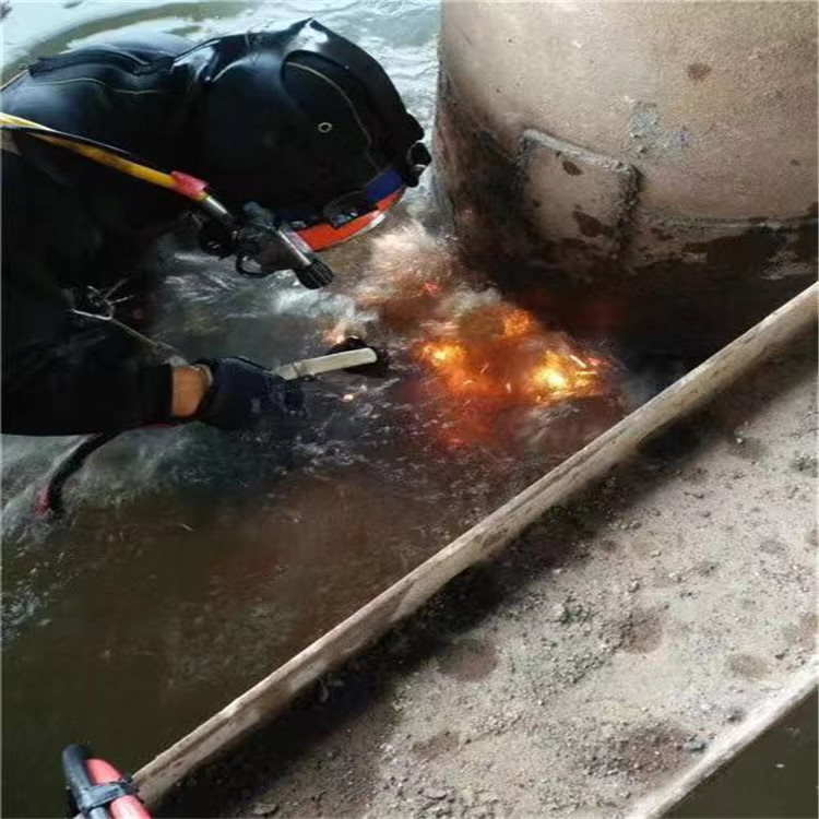 阜阳市专业打捞队-本地潜水作业施工单位