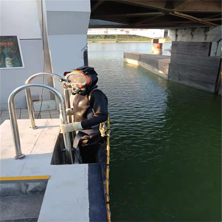 阜阳市专业打捞队-本地潜水作业施工单位
