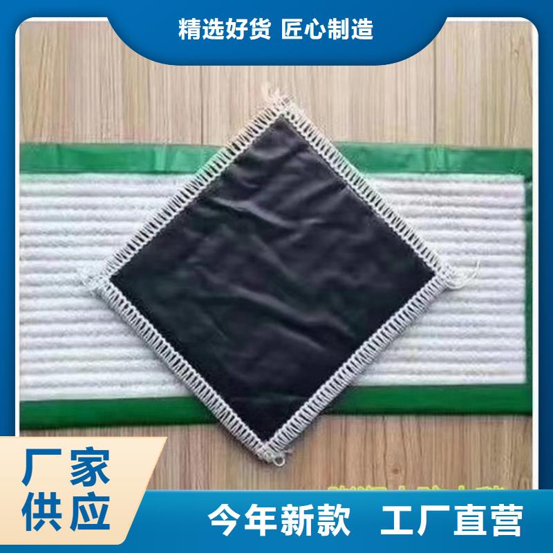 膨润土防水毯止水带规格齐全本地厂家