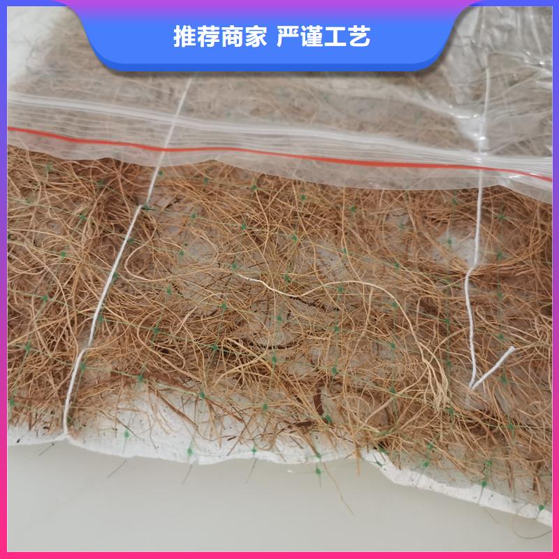 椰纤植生毯-加筋抗冲生物毯选择大厂家省事省心