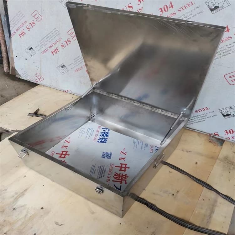 本地的放射性物储物铅箱实体厂家